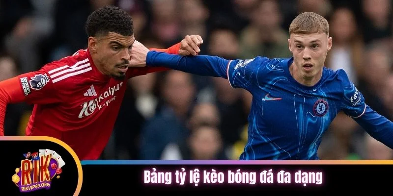 Bảng tỷ lệ kèo bóng đá đa dạng cho người chơi