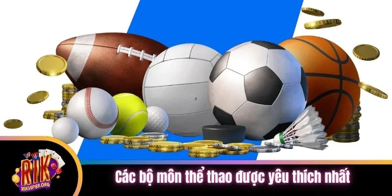 Các bộ môn thể thao được yêu thích nhất thời điểm hiện tại