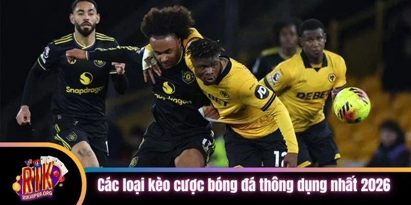 Các loại kèo cược bóng đá thông dụng nhất 2026