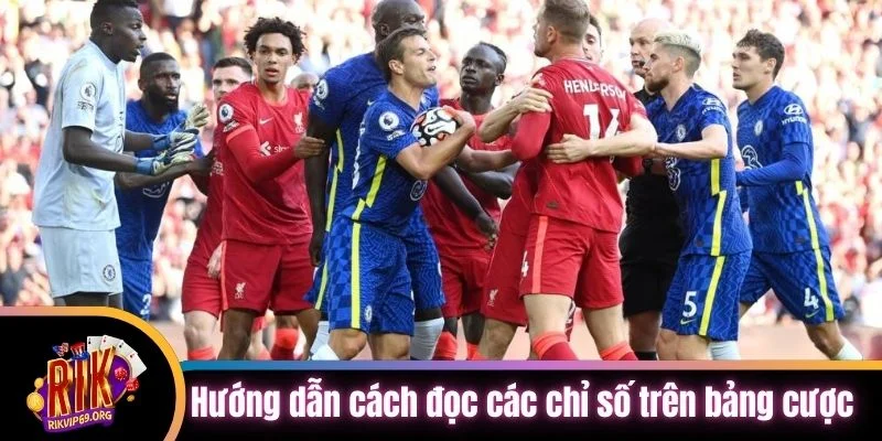 Hướng dẫn cách đọc các chỉ số trên bảng cược