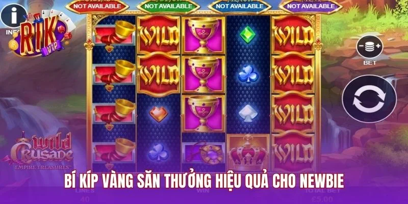 Bí kíp vàng săn thưởng hiệu quả cho newbie