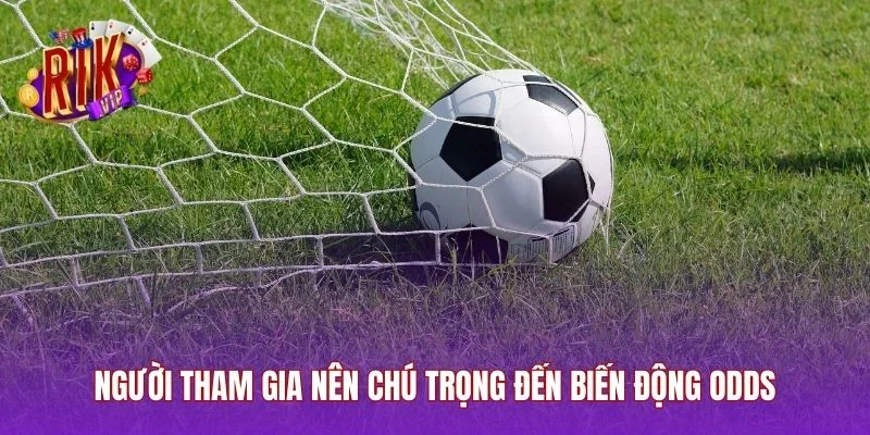 Người tham gia nên chú trọng đến biến động odds